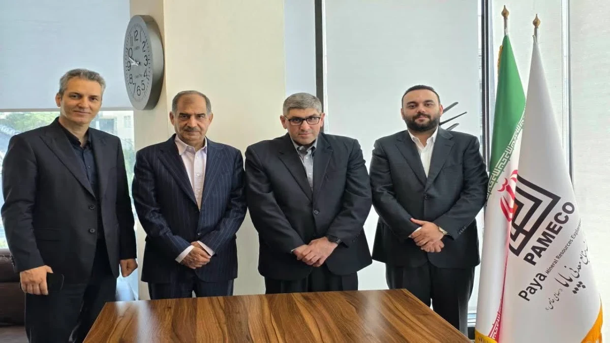 کریتی ثانی سکاندار جدید شرکت پایا شد