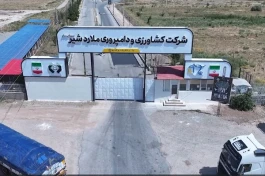 سود خالص ملاردشیر ۲۲۵ درصد بیشتر شد